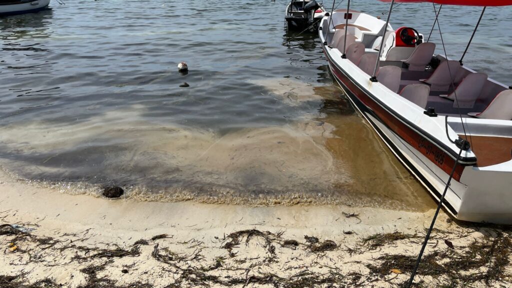 Acceso restringido en la playa ‘los almendros’ en san andrés
