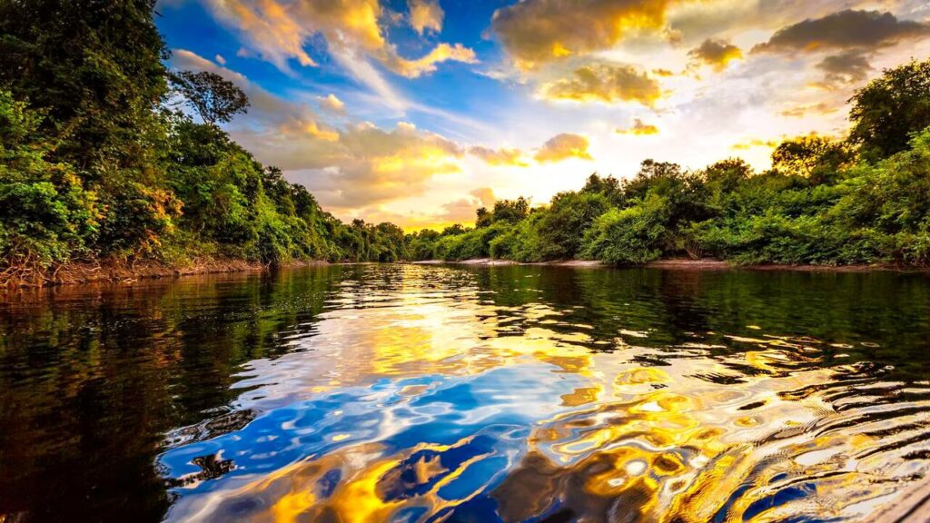 Colombia hospedará el evento presidencial más importante de la región para proteger la amazonía