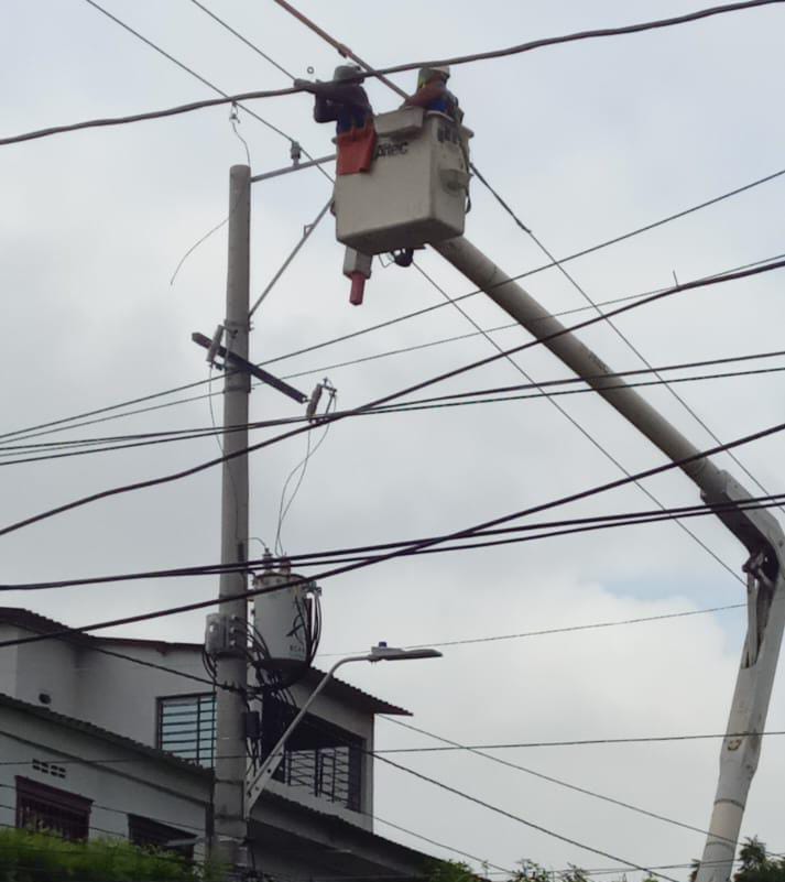 Adecuación de redes eléctricas en sectores de carrizal
