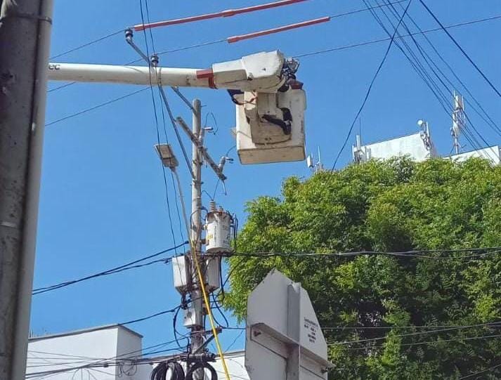 Trabajos para la normalización del servicio eléctrico en los olivos
