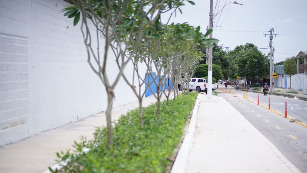 Alcaldía de Barranquilla transforma puntos críticos en nuevos espacios verdes