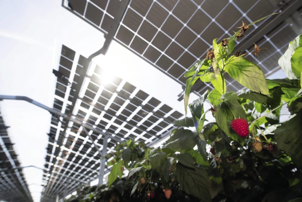 Baywa r.e. Abre su segunda sede en Colombia para impulsar el mercado de energía renovable en el país