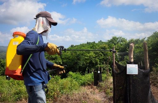 11 mil árboles ha sembrado triple a en Galapa y Tubará