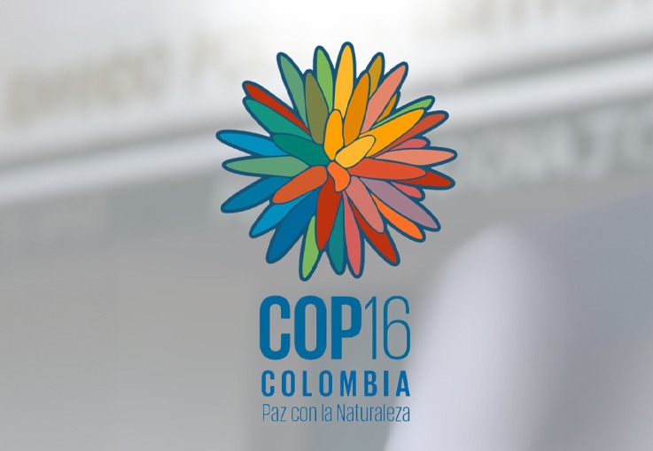 Balance positivo sobre seguridad y gestión del riesgo en la COP16