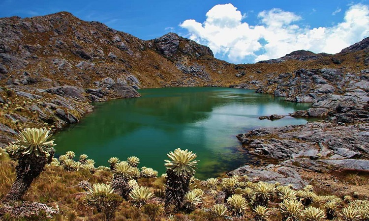 Pgn pidió a minambiente ampliar plazo de consulta pública sobre zona de reserva de recursos naturales renovables de santurbán