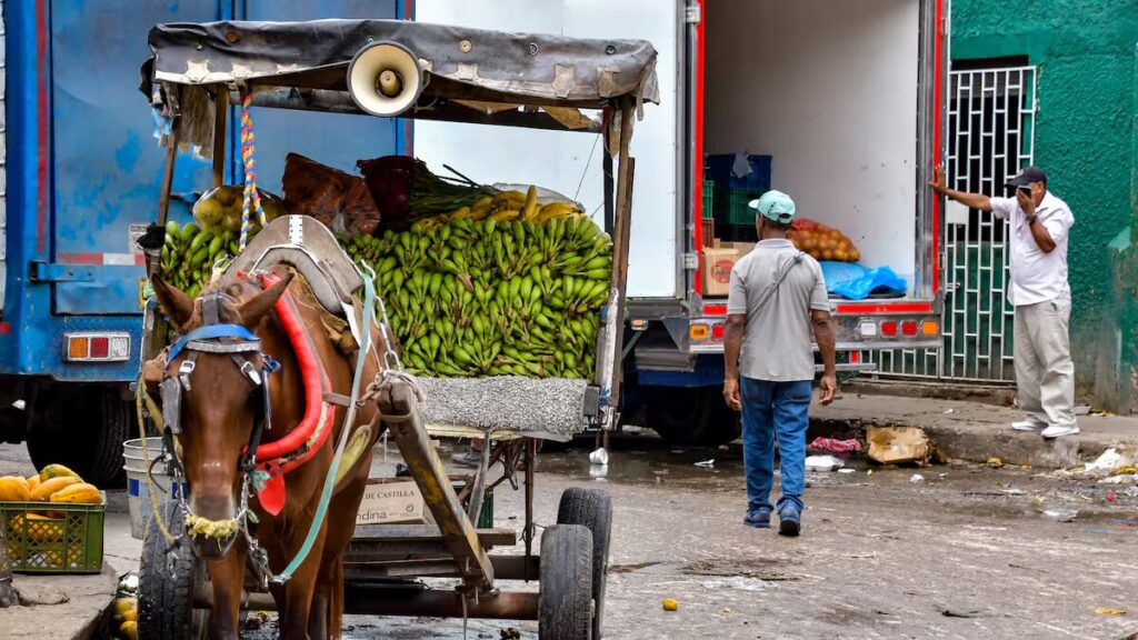 Los carromulas tienen las horas contadas en Barranquilla
