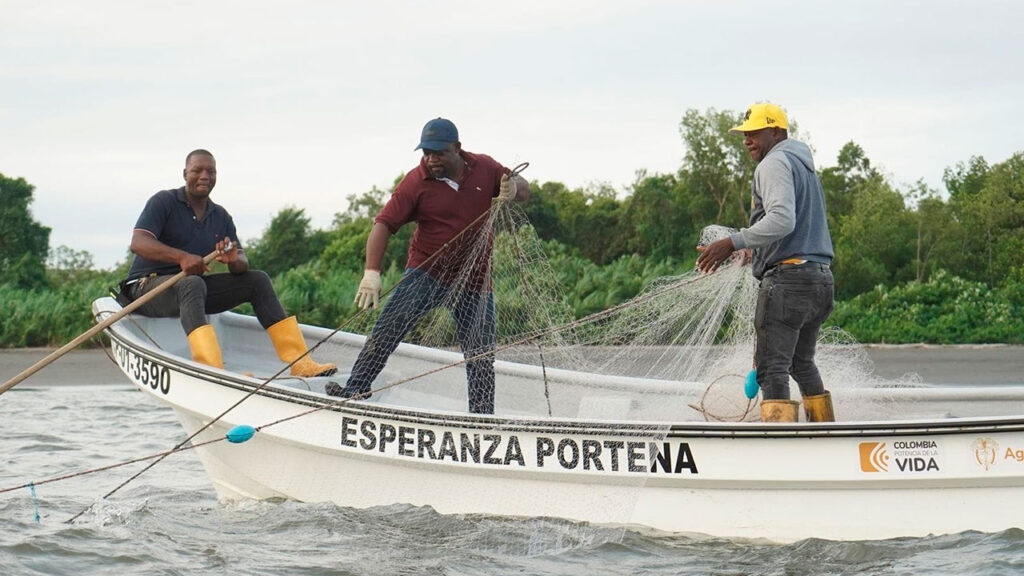 A sanción presidencial proyecto de ley para frenar la pesca ilegal y garantizar la sostenibilidad de los mares