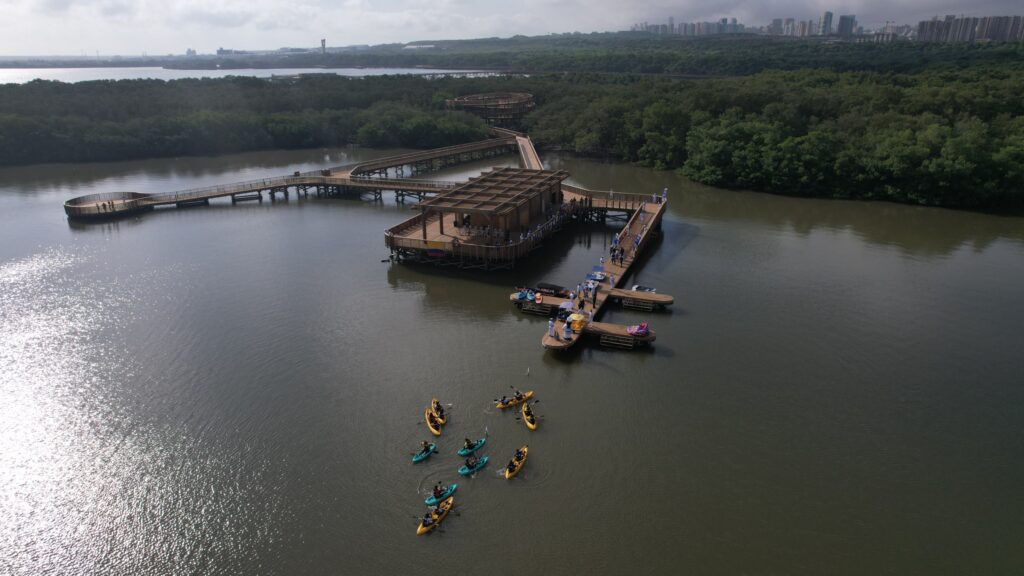 De la playa a la ciénaga: una travesía acuática para conectar con la ciudad