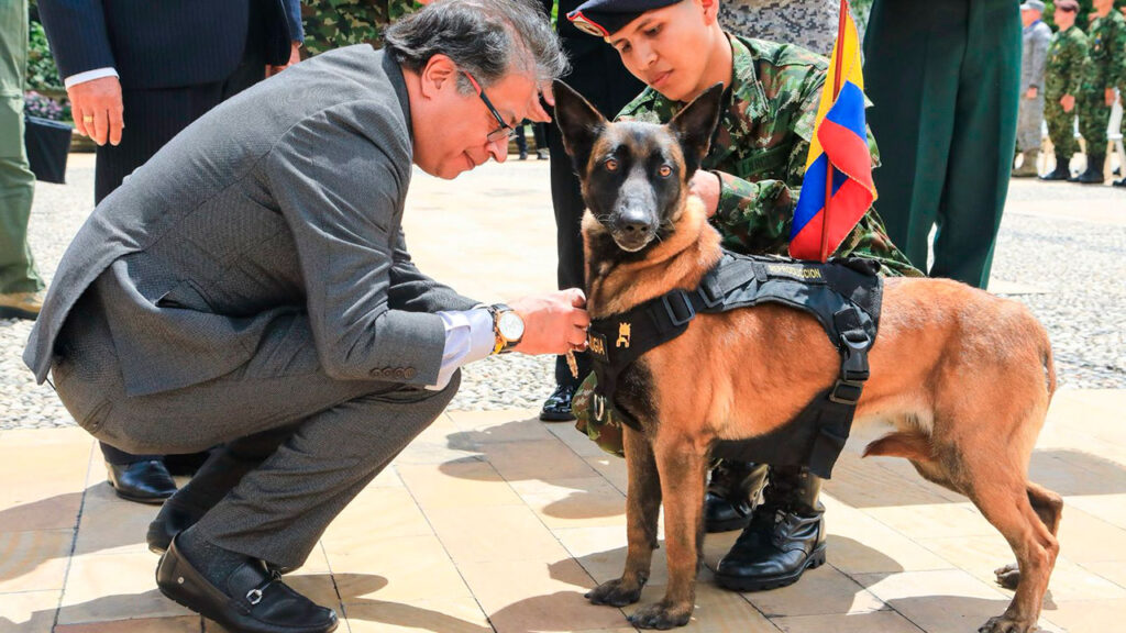 Presidente Petro promulgará las leyes Ángel y Lorenzo que fortalecen la protección animal en Colombia