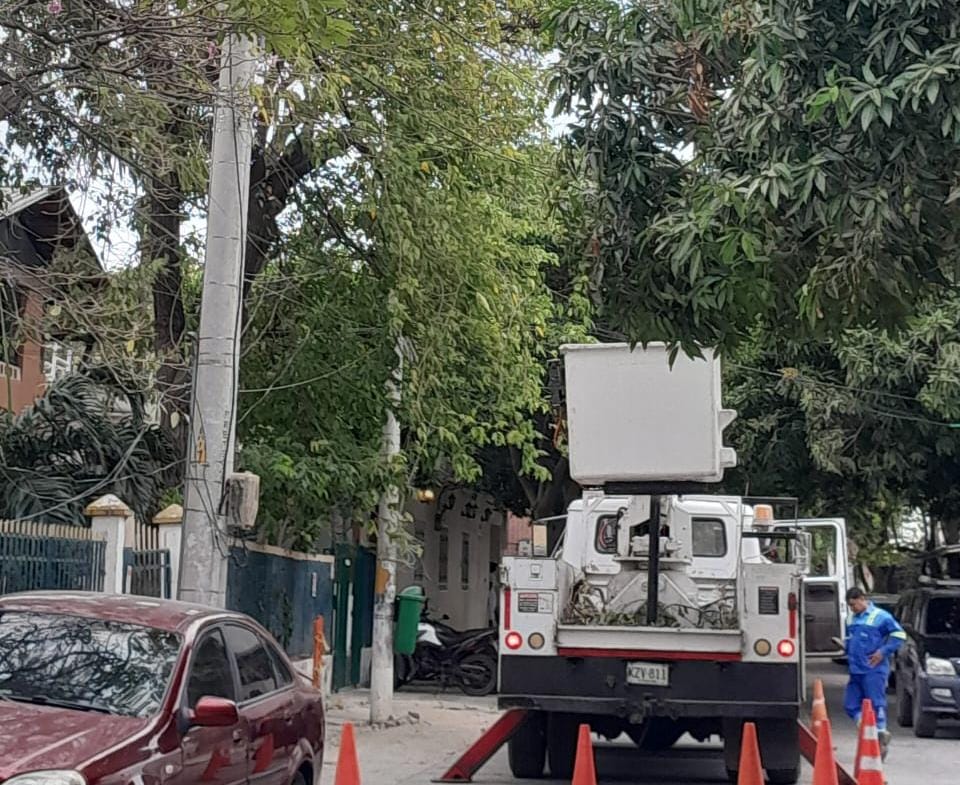 Instalan postes en un sector del barrio El Bosque en Barranquilla