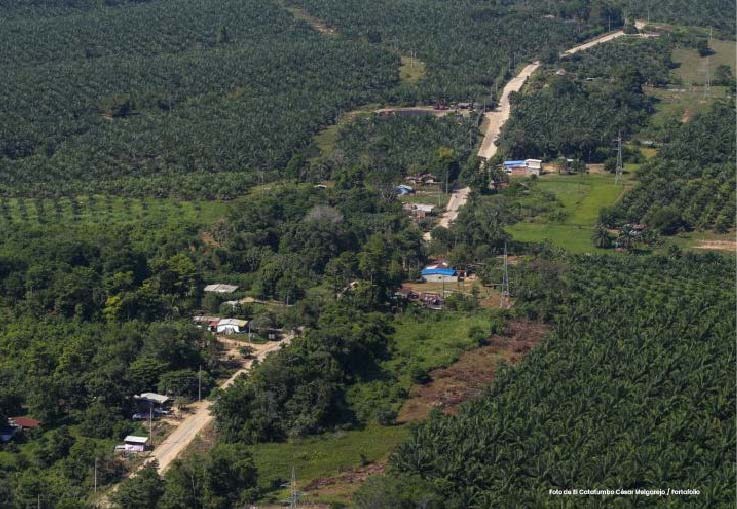 PGN recomendó que proyectos de inversión en el Catatumbo por conmoción interior deben encaminarse a conjurar los hechos que la motivaron