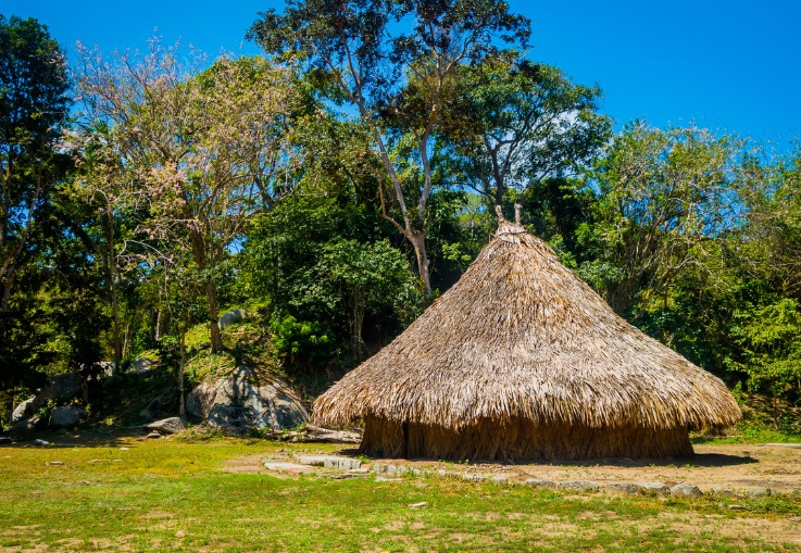 Procuraduría pidió cumplir con las obligaciones que demandan la protección de los pueblos indígenas en aislamiento o estado natural
