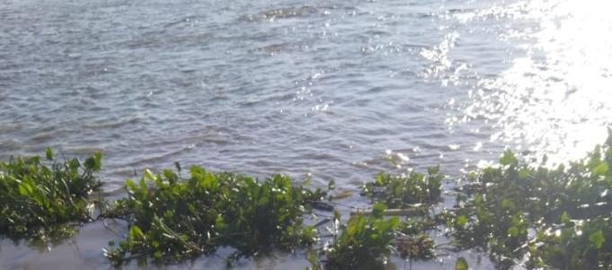 ¡Macabro! El cadáver de un hombre fue hallado flotando en el río Magdalena