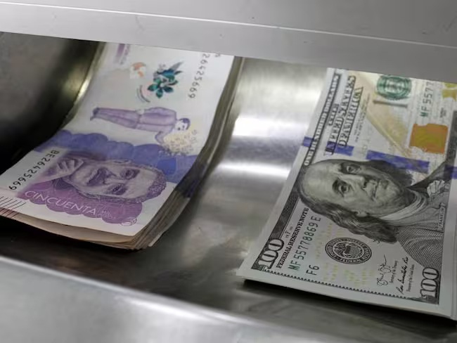 Desarticulado ‘Dinocash’, el grupo delincuencial dedicado a la falsificación a gran escala de moneda nacional y extranjera