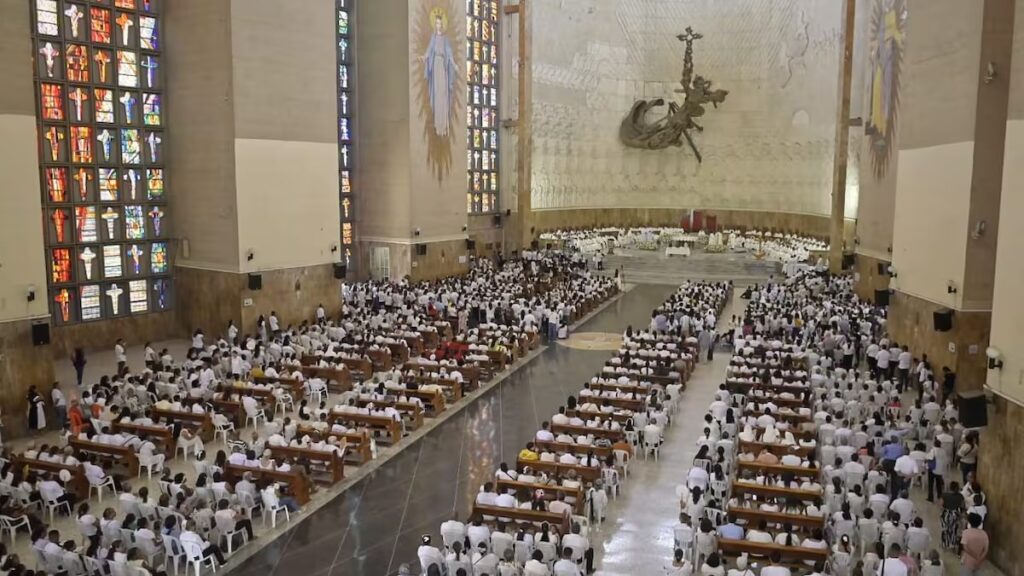 12.000 plántulas se entregarán a la comunidad para fomentar la protección de la palma de cera con ocasión del Domingo de Ramos