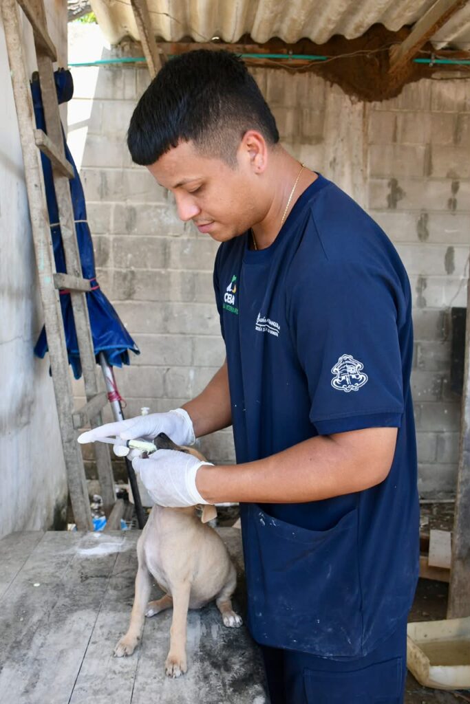 Alcaldía de Barranquilla trabaja permanentemente por el bienestar animal de la ciudad