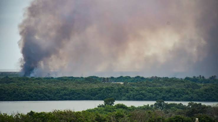 Persisten las quemas en el Parque Isla Salamanca; controlan nuevo incendio en Bocas de Ceniza