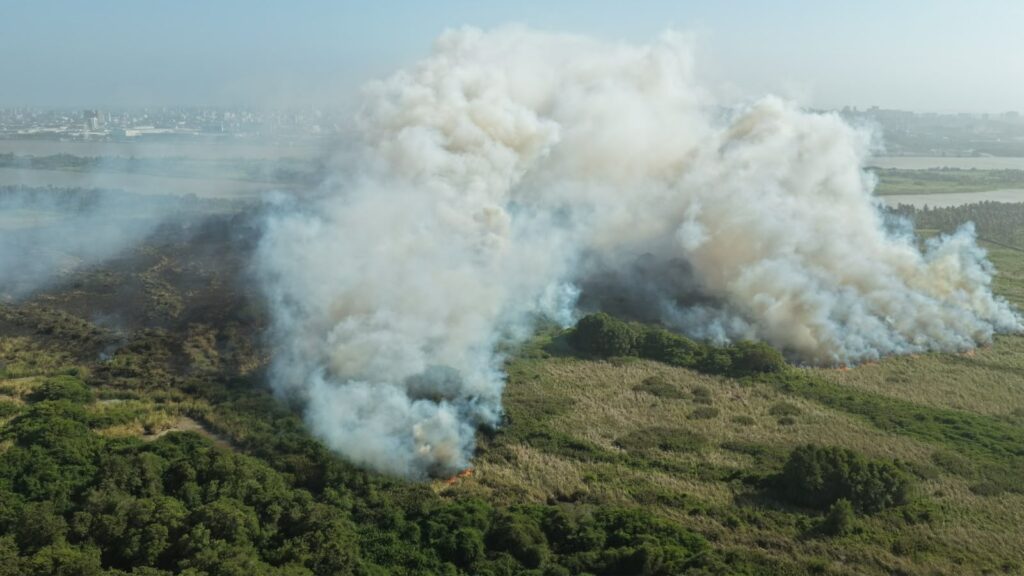 El Cuerpo de Bomberos de Barranquilla adelanta labores para identificar el punto exacto de la conflagración y controlar la emergencia, con el fin de mitigar el impacto ambiental